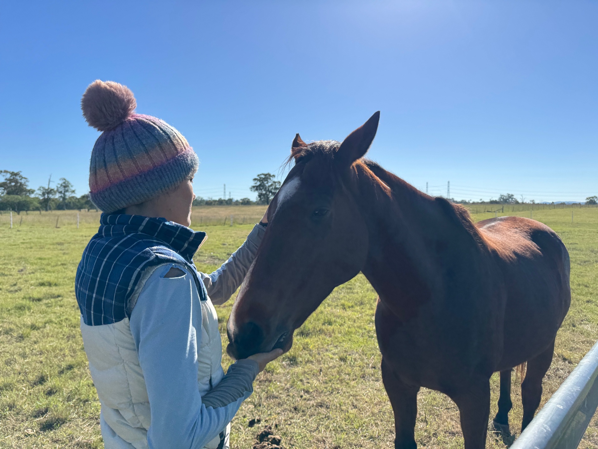 Cillian (Courage), 9yr OTTB gelding · Rescued 2026