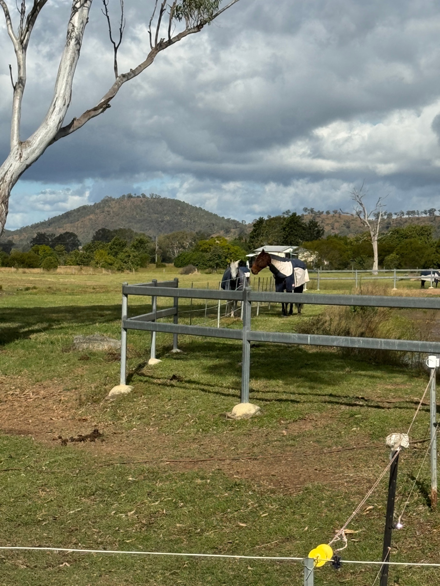 Two horses near the fence with dramatic clouds over the hills