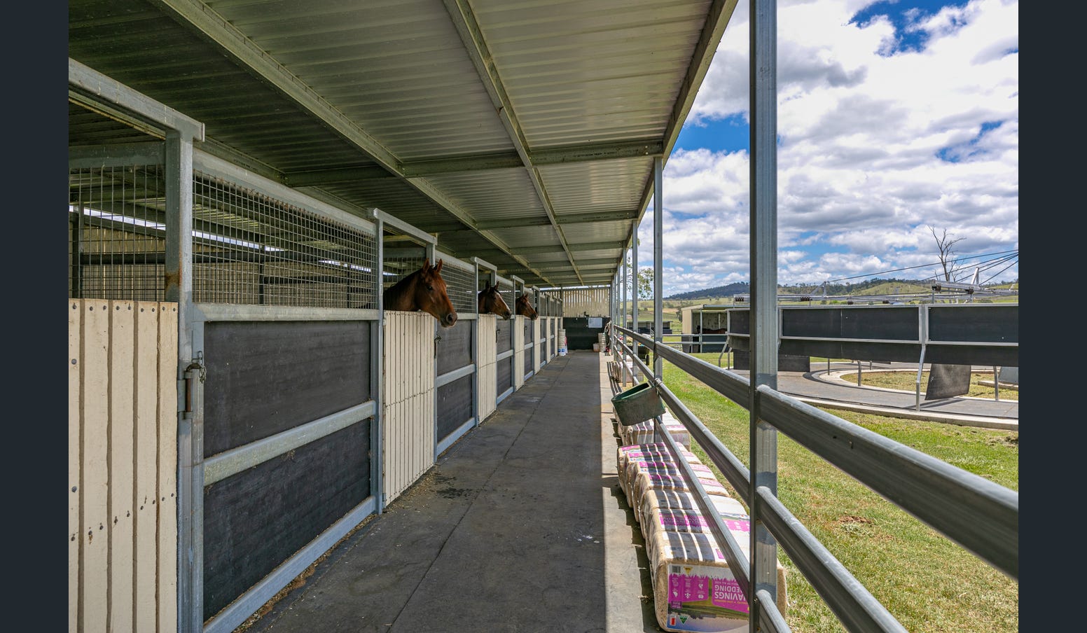 Horses peering from their stables along the breezeway