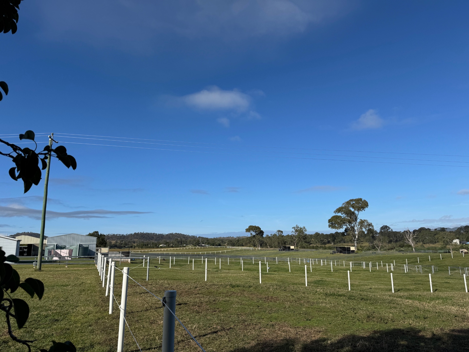 Wide view across the sanctuary fence lines and paddocks