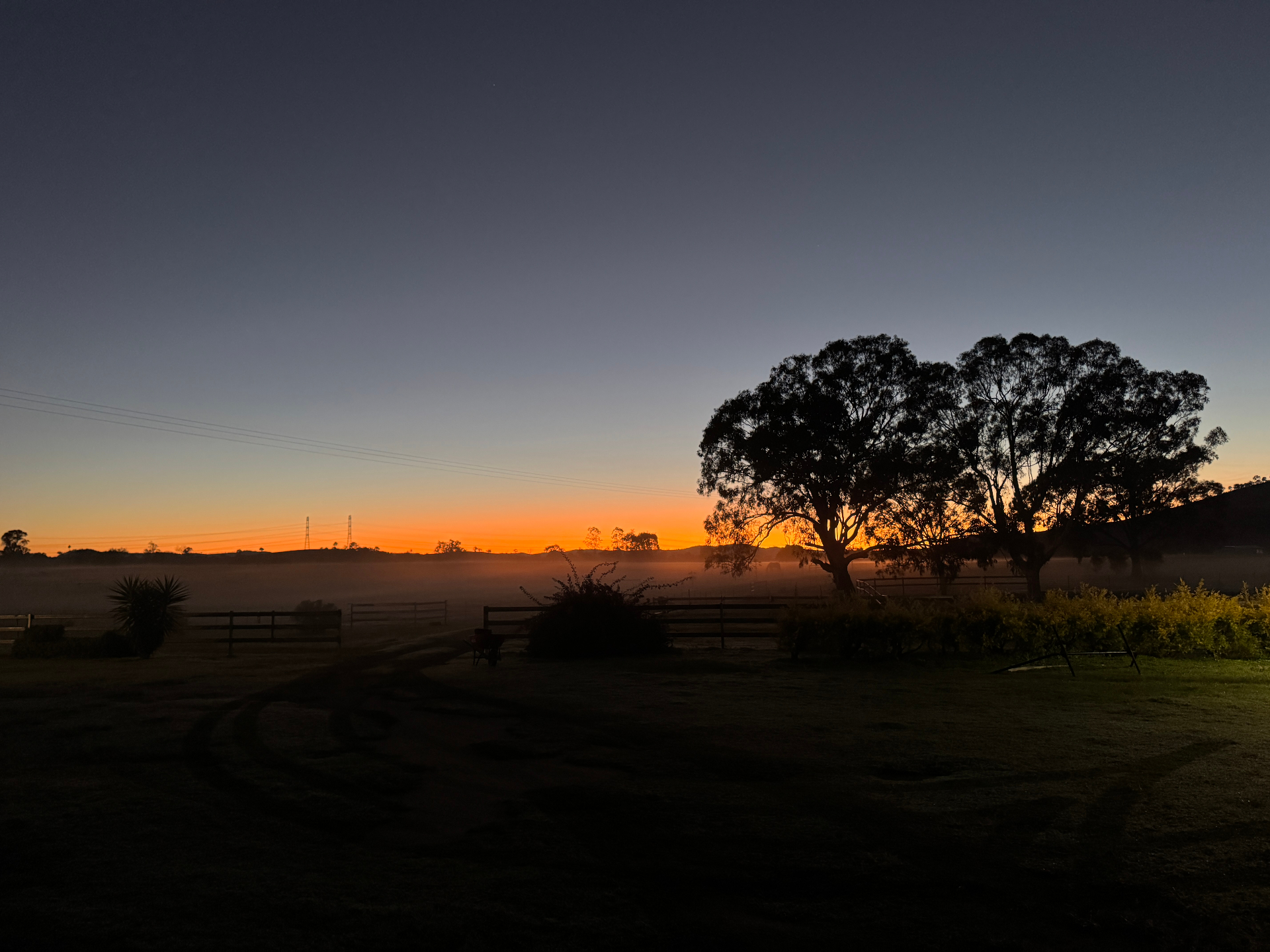 Misty sunrise over the paddocks with a large gum tree silhouetted against an orange sky