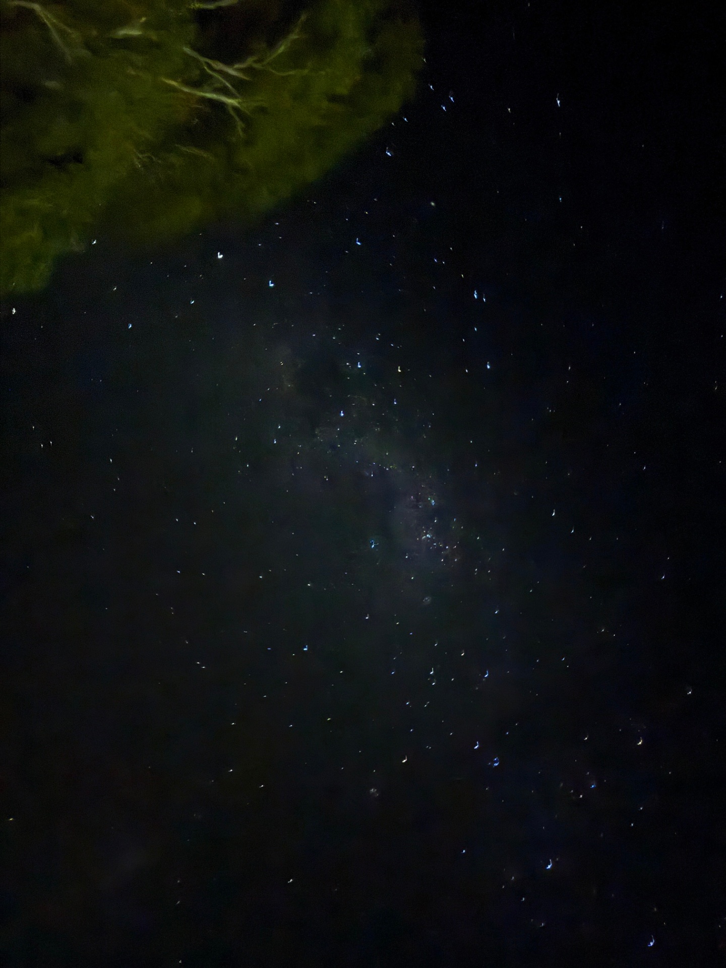 Milky Way spread across the night sky above the sanctuary