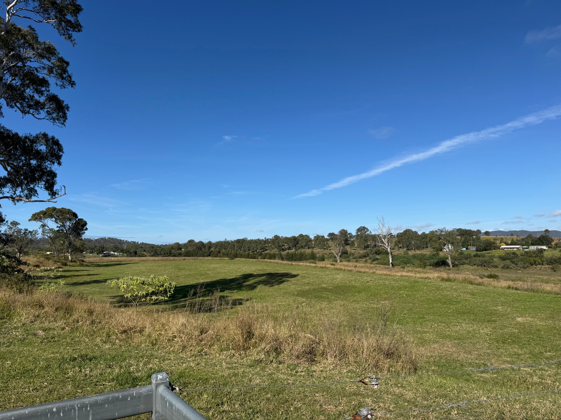 Green pasture stretching toward distant hills under a bright blue sky