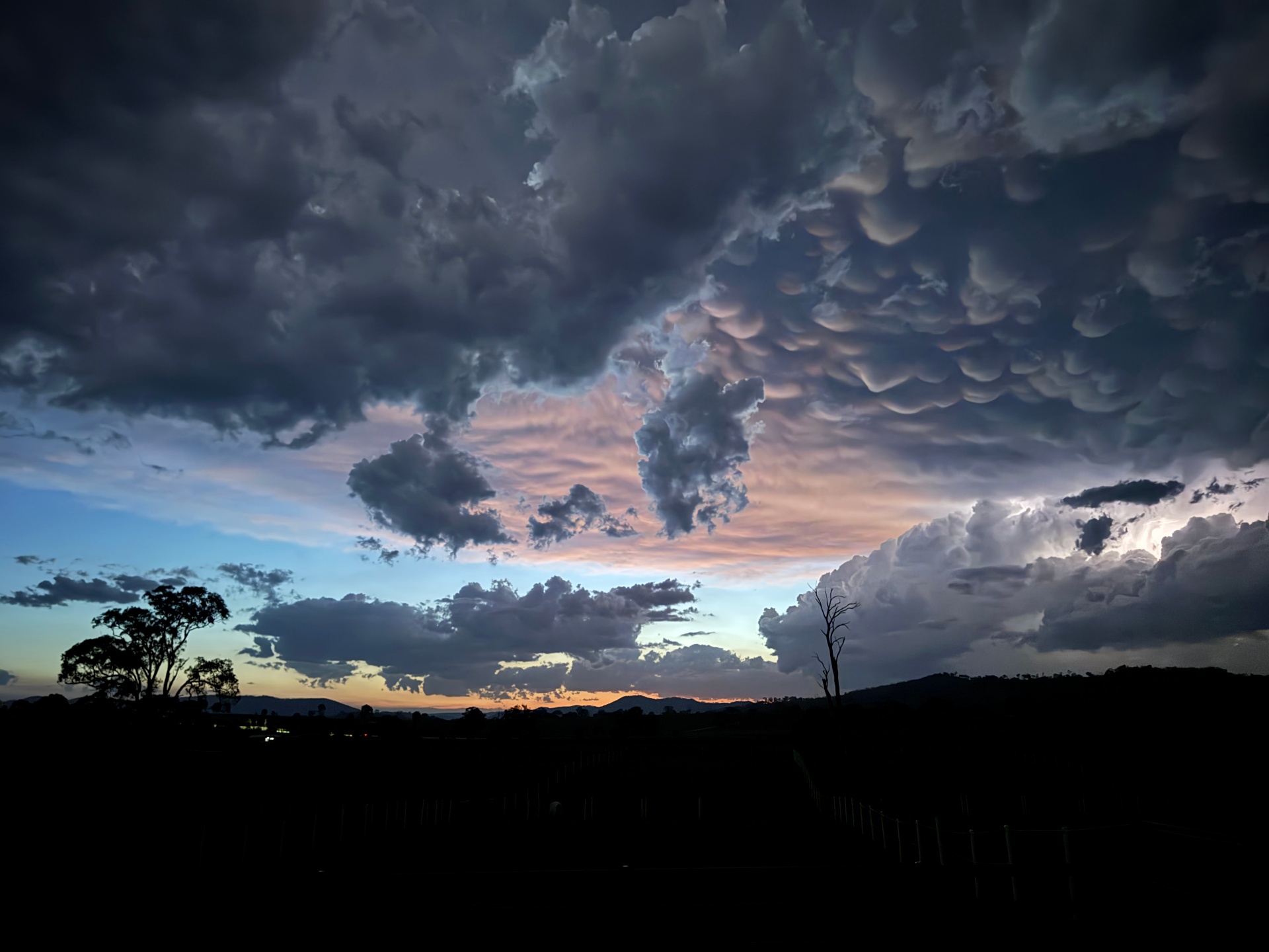 Dramatic mammatus storm clouds glowing pink at sunset over the sanctuary hills