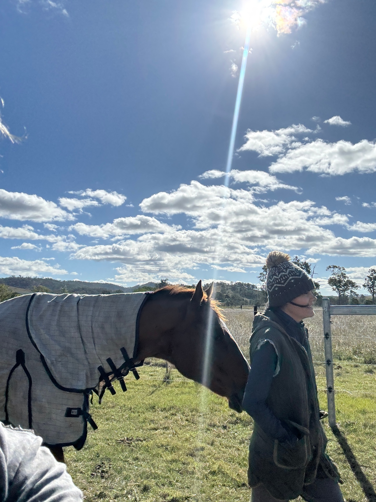 Chloe standing at the fence with Finn, a chestnut horse in a fly rug, under a bright sunlit sky